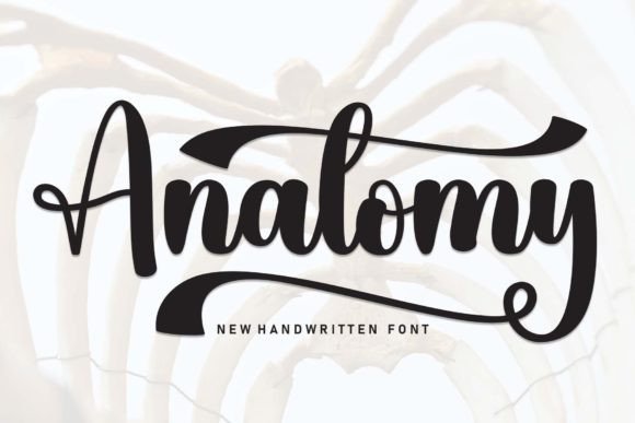 Anatomy: A Handwritten Typeface for Modern Editorial Design