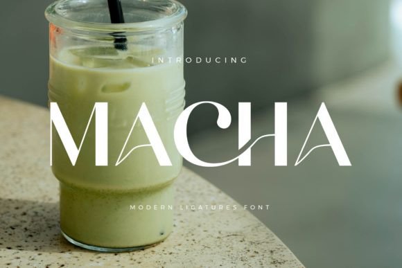 Macha: The Elegant Serif Font for Editorial Design
